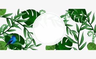 树叶最新爆料文案,揭秘娱乐圈不为人知的秘密